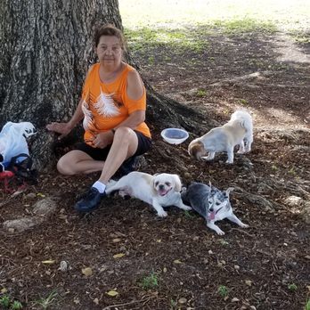 Amelia Earhart Park - My mom + her dogs - Parks Near Me - Hialeah, Florida Amelia Earhart Park - My mom + her dogs - Parks Near Me - Hialeah, Florida