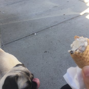 Like No Udder - Food Trucks Near Me - Providence, Rhode Island Like No Udder - Food Trucks Near Me - Providence, Rhode Island