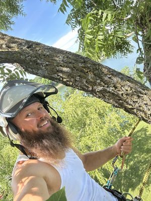 Tully’s Tree Service on Yelp
