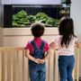 Photo of Spring Mountain Daycare