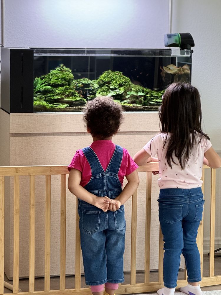 Spring Mountain Daycare - childcare center in Riverside, CA