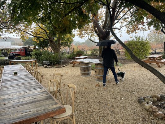 Buttonwood Farm & Vineyard by null