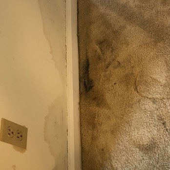 Sophia's Place West - Possible hazardous mold - Apartments Near Me - New Castle, Delaware