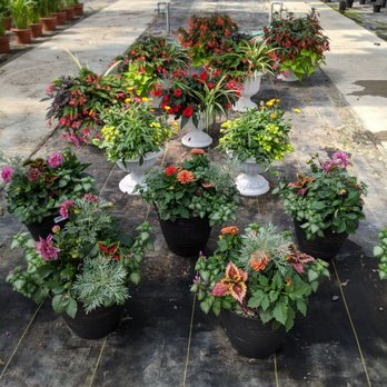 Garden Spot Greenhouse - Lovely planters - Nurseries & Gardening Near Me - Portage, Michigan Garden Spot Greenhouse - Lovely planters - Nurseries & Gardening Near Me - Portage, Michigan