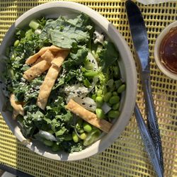 Gansett Poke - VEGGIE Organic Tofu * Kale Green & Sweet Onion Cucumber * Edamame Sesame Seeds * Crispy Wontons Sauce: Sweet Spicy Chili