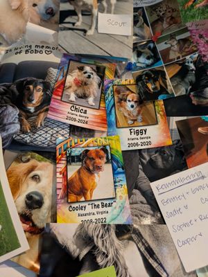 Dog Mountain, Home of Stephen Huneck Gallery by null