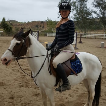 Le Cheval Sport Horses - Baby Peppi and Maddie - Horseback Riding Near Me - Orange, California Le Cheval Sport Horses - Baby Peppi and Maddie - Horseback Riding Near Me - Orange, California