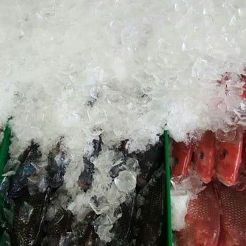 Park's Seafood & Fish Market - The only fish fresher than this needs to be caught - Seafood Markets Near Me - Whitestone, New York Park's Seafood & Fish Market - The only fish fresher than this needs to be caught - Seafood Markets Near Me - Whitestone, New York