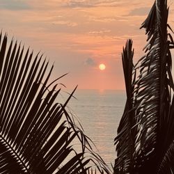 Garza Blanca - Views