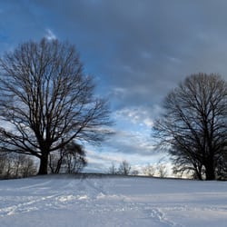 Silver Lake Golf Course