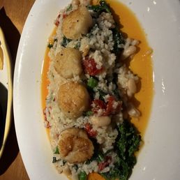 Scallops