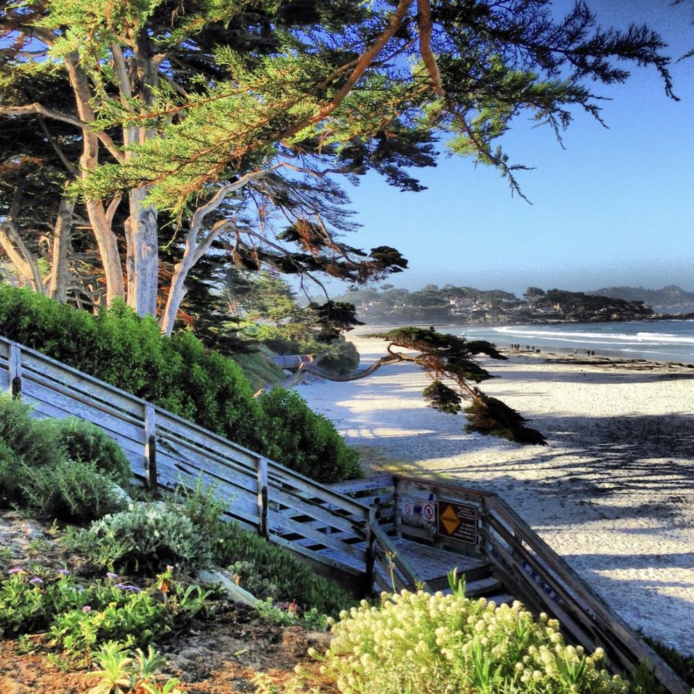 TOP 10 BEST Vacation Rentals near Carmel-by-the-Sea, CA 93921 - Updated  2026 - Yelp