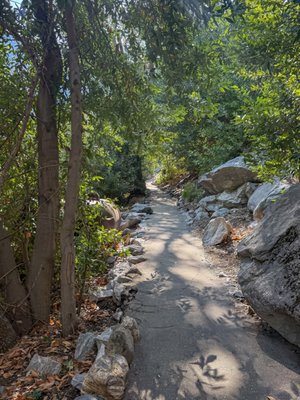 Boyden Cavern Adventures & Tours LLC. by null