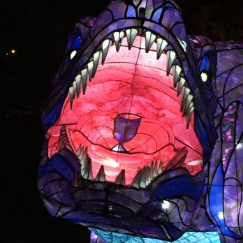 Wild Lights - Festivals Near Me - Louisville, Kentucky Wild Lights - Festivals Near Me - Louisville, Kentucky