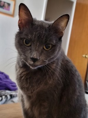 dmv motorcycle riding test