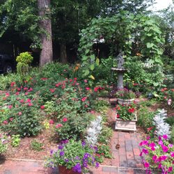 Figaro Hair Salon - Back yard garden.