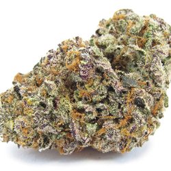 PB Marijuana - Gelato Strain hybrid cannabis