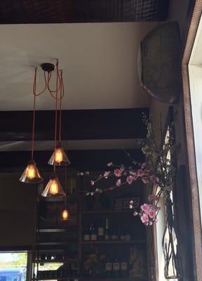 Black Cottage Cafe by null