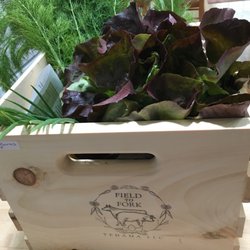 Field to Fork Tehama - The beautiful box of fresh veggies delivered to my door from Field to Fork Tehama