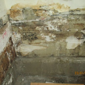 T&D Contracting Services - 2. Mold. - General Contractors Near Me T&D Contracting Services - 2. Mold. - General Contractors Near Me