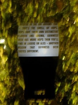 Guinness Storehouse by null Guinness Storehouse by null