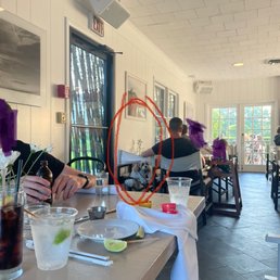 Dog eating at table inside