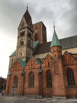 Ribe Cathedral by null
