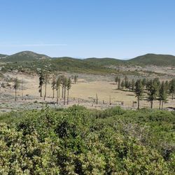 Big Laguna Trail