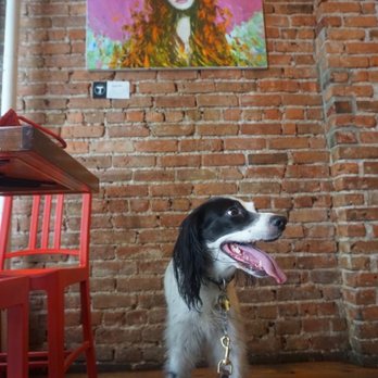 Terremoto Coffee - IG: @thedogtrine - Coffee & Tea Near Me - New York, New York Terremoto Coffee - IG: @thedogtrine - Coffee & Tea Near Me - New York, New York