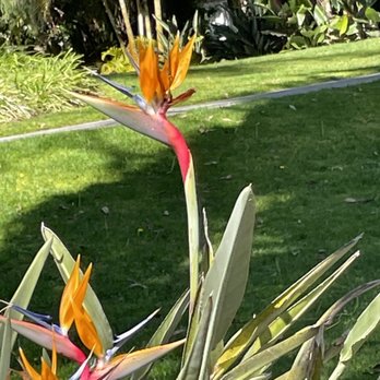 Paradise Point - Resorts Near Me - San Diego, California