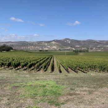 Sanford Winery - View across the valley see Sea Smoke's vineyards. They are neighbors. - Wineries Near Me - Lompoc, California Sanford Winery - View across the valley see Sea Smoke's vineyards. They are neighbors. - Wineries Near Me - Lompoc, California