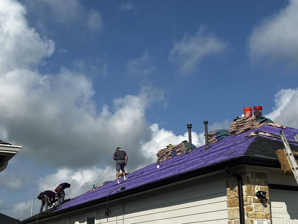 Slide of Mammoth Contracting