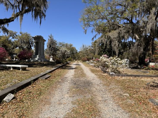 Bonaventure, Historic Savannah, Low Country & Private with Shannon Scott Tours by null