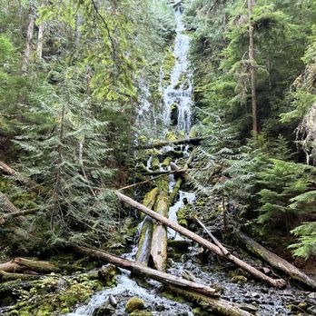 Proxy Falls - Proxy Falls Trail - Upper Proxy Falls - Hiking Near Me - Rainbow, Oregon