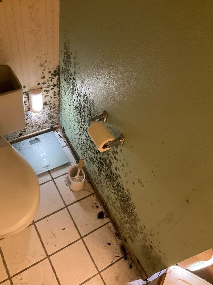 Healthy Homes Arizona - mold inspector in Phoenix, AZ