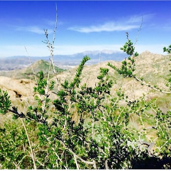 Box Springs Mountain Reserve - Hiking Near Me - Moreno Valley, California Box Springs Mountain Reserve - Hiking Near Me - Moreno Valley, California