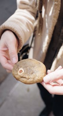 Fellini Cucina by null