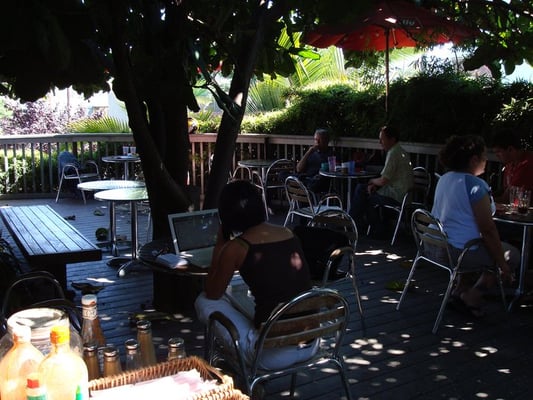 Photo of Krakatoa - San Diego, CA, US. Tropical rain forest mate!