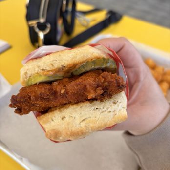 HoneyBird - nashville chicken biscuit - Tacos Near Me - Allen, Texas