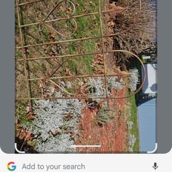 The Cottage - Metal fence.