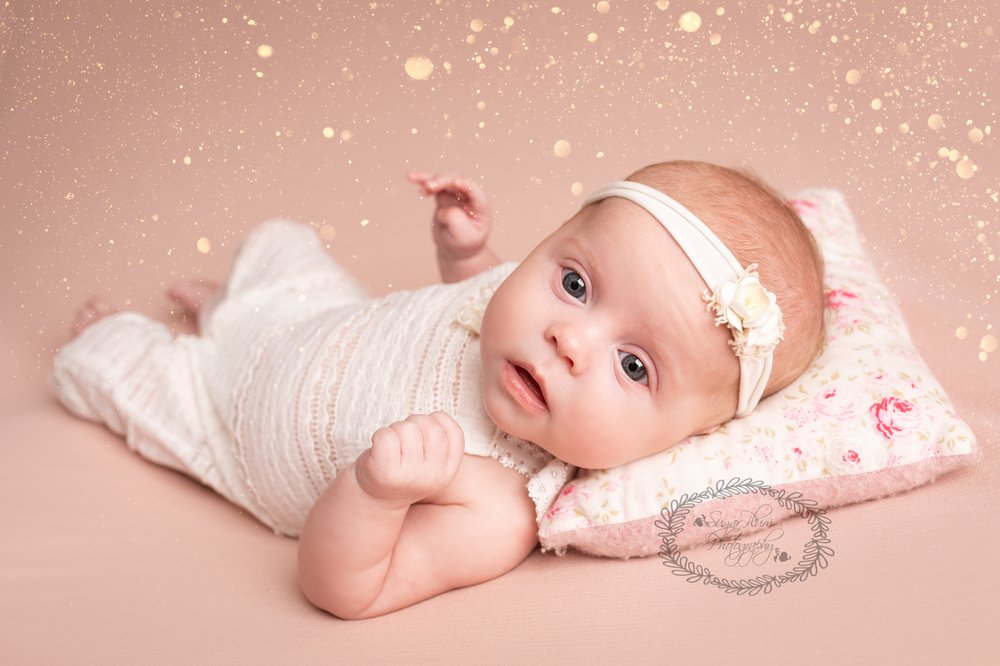 SUGAR PLUM PHOTOGRAPHY Updated August 2024 20 Vauxhall Gardens