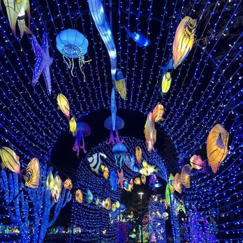 Tianyu Lights Festival - Festivals Near Me - Phoenix, Arizona Tianyu Lights Festival - Festivals Near Me - Phoenix, Arizona