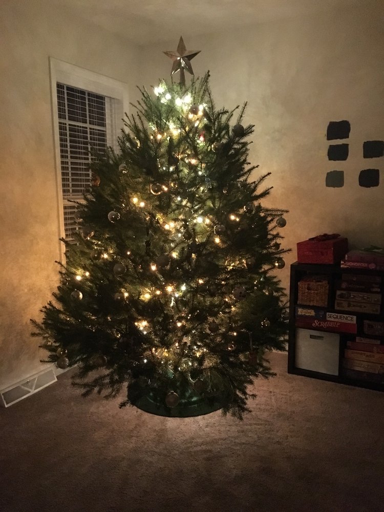 METZLER WISSLER FARMS Updated August 2024 49 Drytown Rd, Holtwood