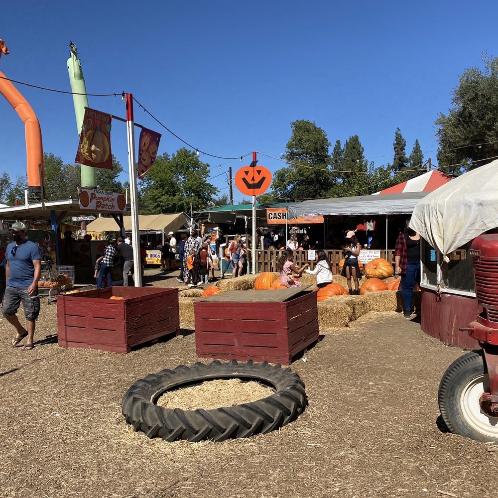 Tapia Bros Farm - a tractor and pumpkins - Fruits & Veggies Near Me - Encino, California