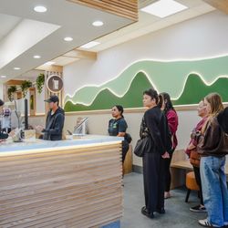 Brew Tea Bar - Tea Mountain Mural