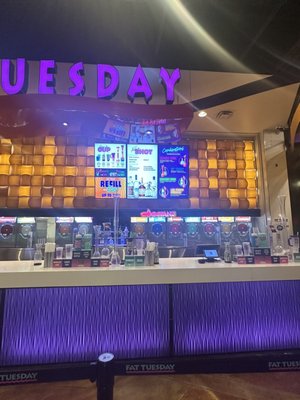 Fat Tuesday at MGM by null