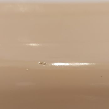 Vito Remodeling and Refinishing - big prickly glob under coating on bottom of tub - Refinishing Services Near Me - Riverside, Illinois