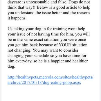 Sirius K9 Academy - I asked a question and I get a rude email. - Pet Training Near Me
