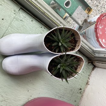 The Prickly Palm - Cute idea! - Juice Bars & Smoothies Near Me - Cedar Key, Florida