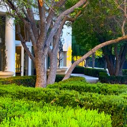 Hyatt Regency Valencia - Places to wander and enjoy tranquil grounds.